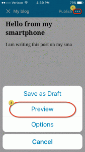 Screenshot of mobile view of Preview post button