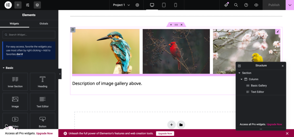 Screenshot of the Elementor pagebuilder plugin active on the portfolio site template