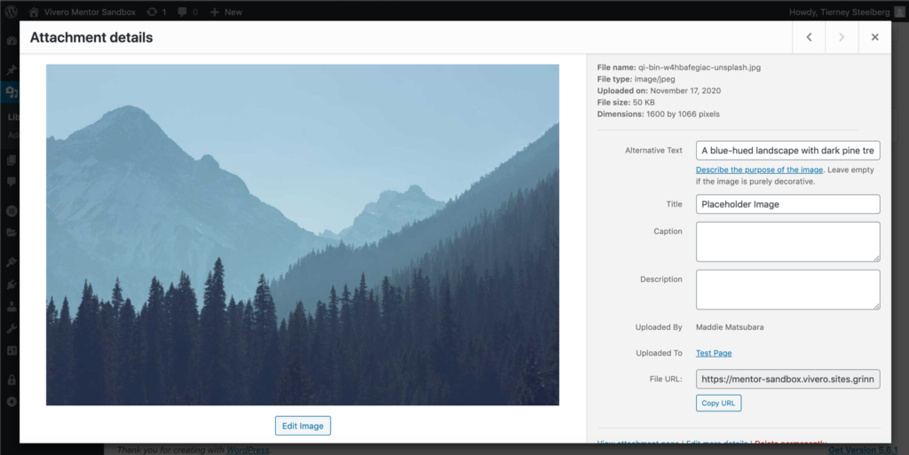 Screenshot of an item editing page in the Media Library